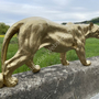 Puma Dekofigur, Pumajunges in Gold, 35 cm hoch 6