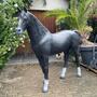 Pferde Figuren Garten - Deko Pferd lebensgross, Rappe 5