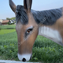 Deko Esel lebensgross - Esel Figur Garten, braun 8