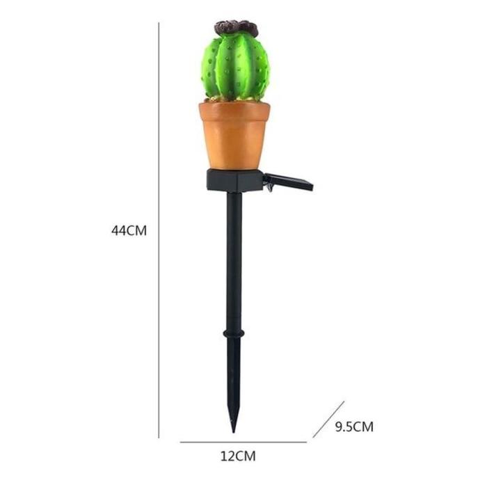minima monstera Hydro Monstera Minima – Green Me Up main image 1