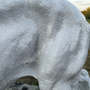 Deko Pumafigur in Weiss, Jungtier, mit Autolack, 35 cm hoch 6