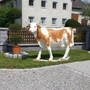 Kuh Deko Simmentaler Fleckvieh lebensgross 231 cm lang