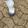 Pferde Figuren Garten, Deko Pferd lebensgrosser Rappe 10