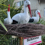 Originelle XXL Geburtstafel mit Storch zu Geburt auf Ständer