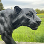 Dekofigur Schwarzer Panther, Jungtier, 35 cm hoch 6