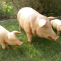 Schweine Figuren für den Garten, 3er Set, Sau mit Ferkel