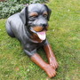 Dekofigur Hund lebensgross, Rottweiler liegend, 91cm lang 2