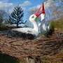 Storch Deko zur Geburt mit Storchennest Ø 80 cm, 2 Störche 3