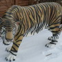 Deko Tigerfigur lebensgross, 170 cm lang