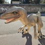 Gartenfigur Dinosaurier, Allosaurus, 3,6 Meter lang