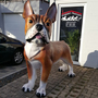 XXL Deko Figur französische Bulldogge, riesig, 175cm hoch 2