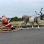 XXL Rentier mit Schlitten und Weihnachtsmann mit Buch 350 cm