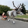 XXL Rentier mit Schlitten und Weihnachtsmann mit Buch 350 cm