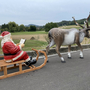 XXL Rentier mit Schlitten und Weihnachtsmann mit Buch 350 cm