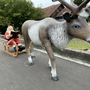 XXL Rentier mit Schlitten und Weihnachtsmann mit Buch 350 cm