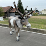 Rentier  Deko Figur Weihnachten & Weihnachtsdeko Deko Rentier  lebensgross