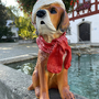 Weihnachtsdeko Outdoor - Weihnachtsfigur Deko Hund mit Mütze