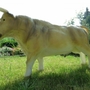 Deko Stier - Stierfigur für den Garten 111 cm lang