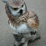 Vogelfigur lebensgross für den Garten, Eule auf Ast, 56 cm hoch 8