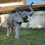 Deko Elefant für Gartendeko, Jungtier, 160 cm hoch