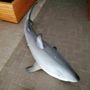 Deko Hai Fisch, zum Aufhängen, 147 cm lang