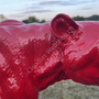 Rote Puma Dekofigur, Jungtier, mit Autolack, 35 cm hoch 8