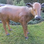 Deko Kalb für den Garten braun weiss 121 cm lang