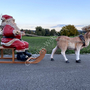 Einer Weihnachtsdeko Outdoor - Weihnachtsschlitten mit Rentier