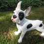 Hundefigur französische Bulldogge Dekofigur, weiss-schwarz 2