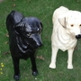 Deko Hund: Hundefigur Labrador, weiss und schwarz