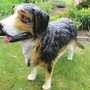 Berner Sennenhund Figur lebensgross 73cm hoch 2