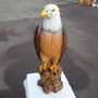 Junger Weisskopfseeadler Gartenfigur, 51 cm hoch