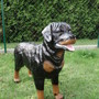 Gartenfigur Hund lebensgross, Rottweiler, 70cm hoch 2