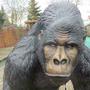Affenfigur Gorilla Figur lebensgross, 130 cm hoch 3