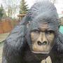 Affenfigur Gorilla Figur lebensgross, 130 cm hoch 3