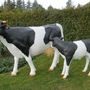 Deko Kuh Figur  Lebensgross - Deko Kühe: Dekokuh und ein Kalb