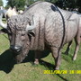 Bisonfigur lebensgross für Gartendeko, 188 cm hoch 2