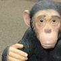 Deko Affe Gartenfigur kleiner Schimpanse, sitzend 4