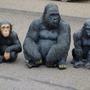 Deko Affe Gartenfigur kleiner Schimpanse, sitzend 5