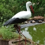 Deko Storchfigur zur Geburt - Storch Figur gross 2