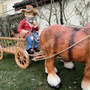 2 Deko Pferde für den Garten, Wagen, Kutscher, 2m 8