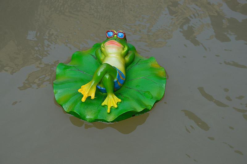 Lustiger Frosch mit blauer Badehose sonnt sich auf einer Seerose