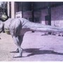 Grosse Gartenfigur Dinosaurier Deko, 3,5 Meter lang 2