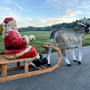 XXL professionelle Weihnachtsbeleuchtung Outdoor - Rentier, Schlitten, Weihnachtsmann  280 cm