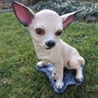 Hundefiguren Deko: Chihuahua Figur, 31 cm hoch 2