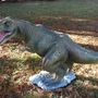 Dino Gartenfigur T-Rex Saurierjunges, 51 cm hoch  3