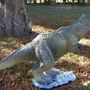 Dino Gartenfigur T-Rex Saurierjunges, 51 cm hoch  4